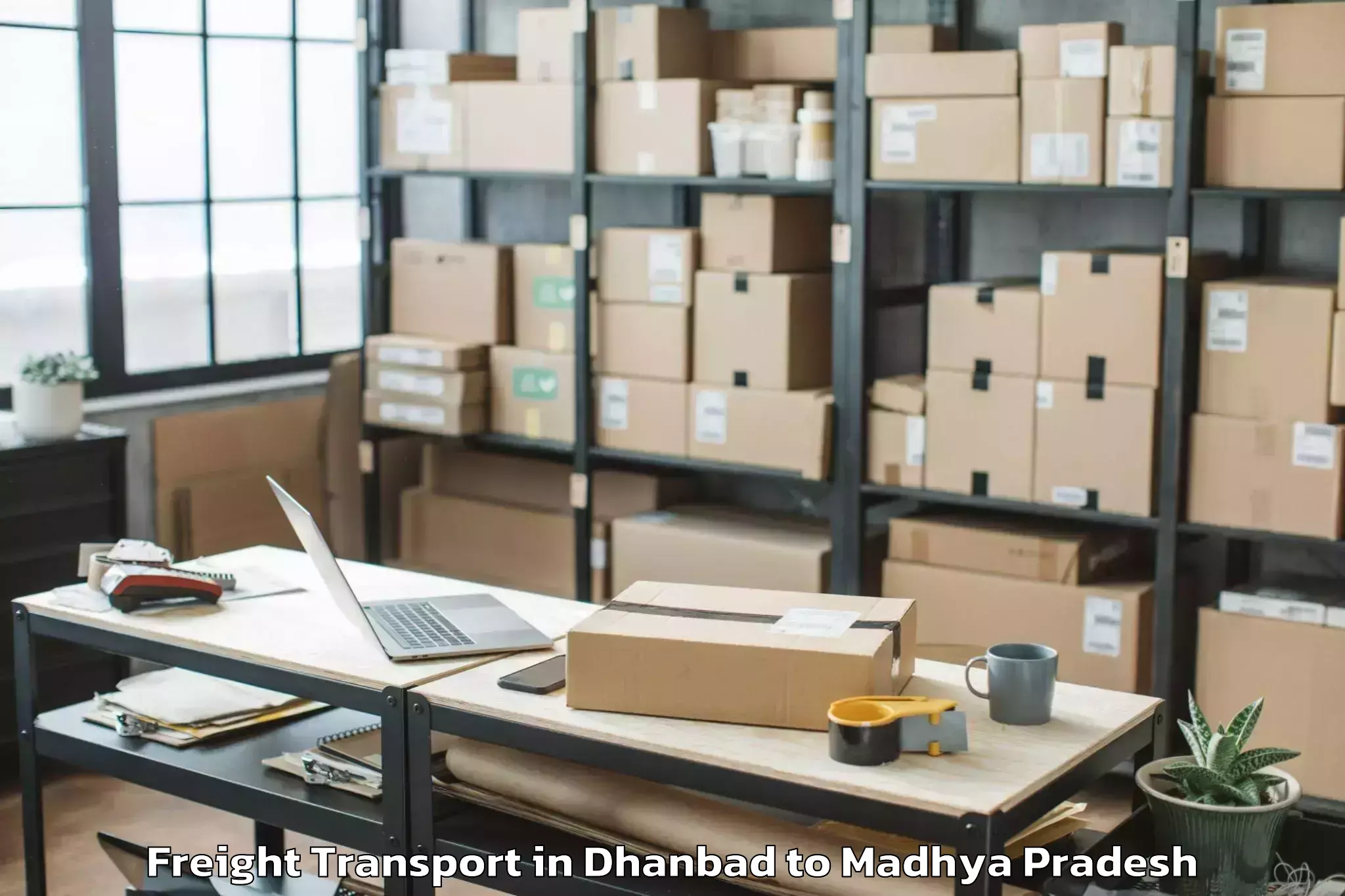 Quality Dhanbad to Sage University Indore Freight Transport